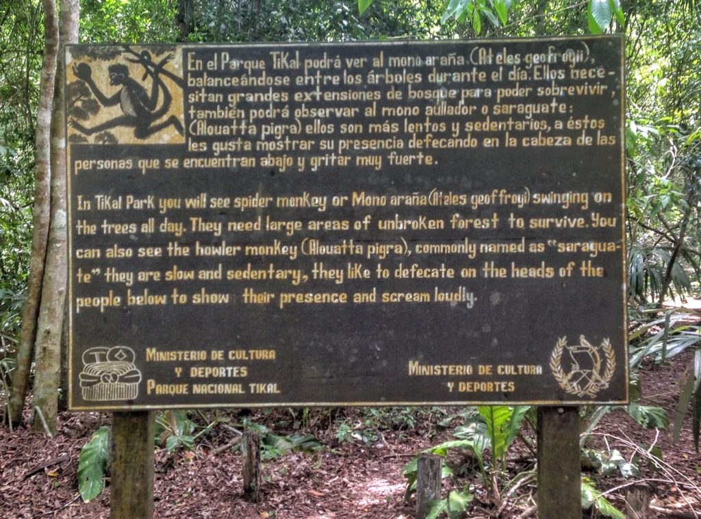 Advise to wtch out for spider monkeys because they “like to defecate the heads of people below” 